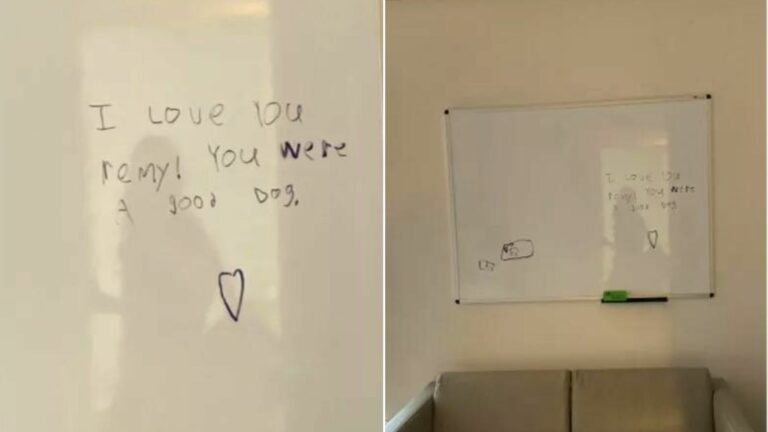 a message let on whiteboard