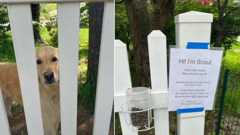 sign posted on gate