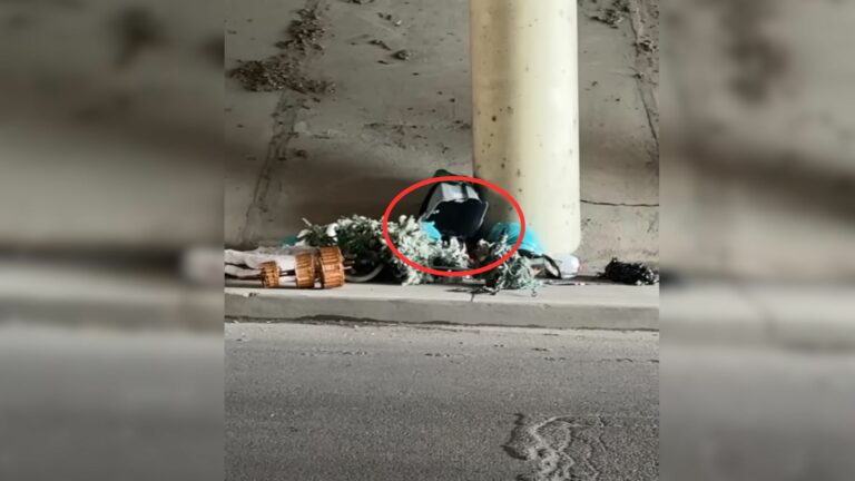 puppy hiding in a pile of trash