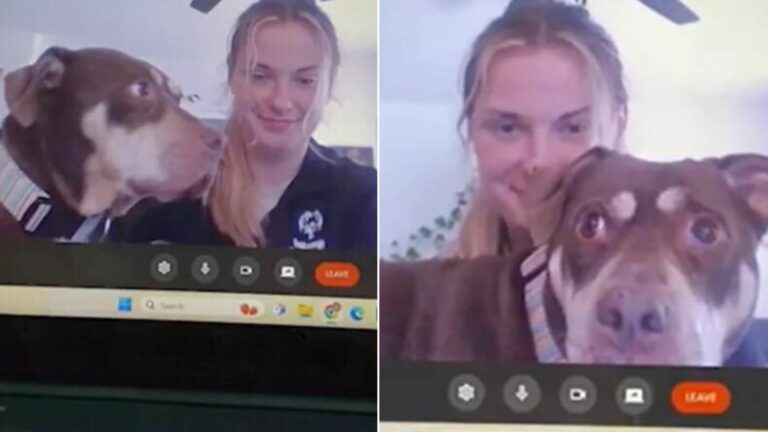 dog interrupts womans online therapy