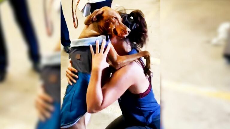 dog and owner hugging