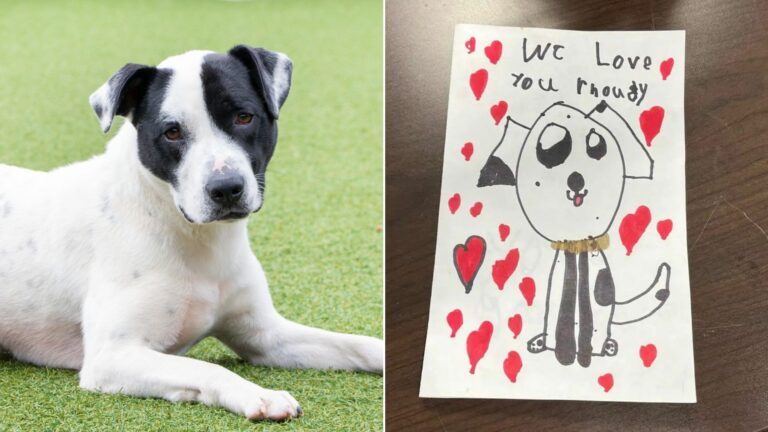 dog with note