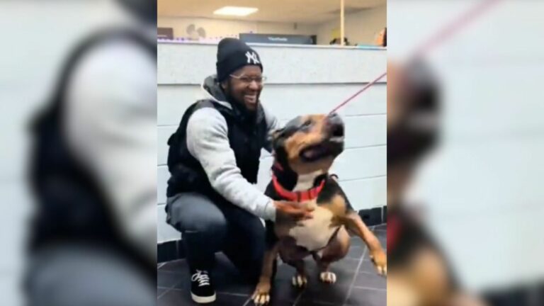 man and dog reunited