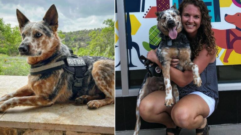 deaf woman wiht deaf dog