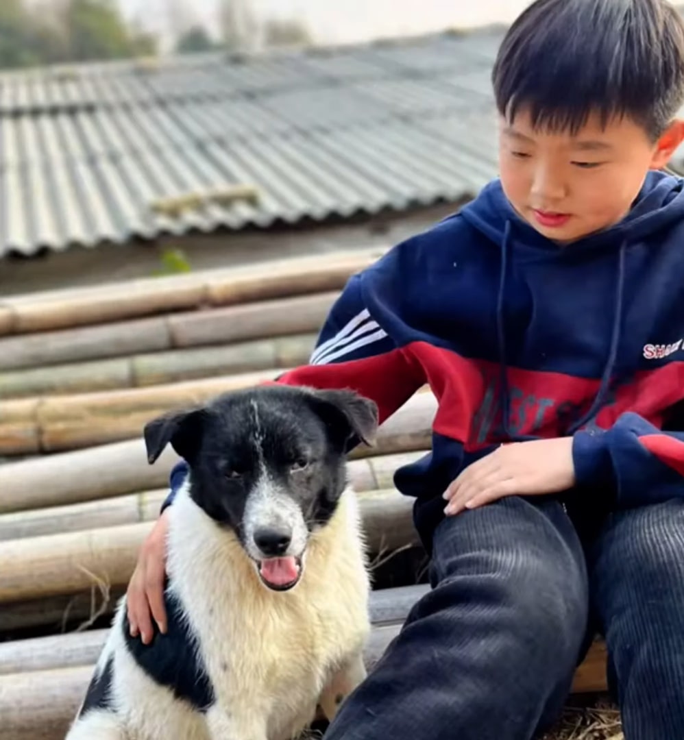 little boy sitting next to a puppy