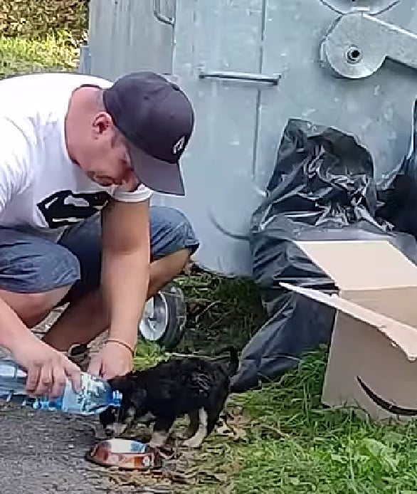 man founf puppy in garbage