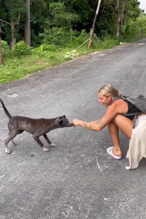 woman and stray pup