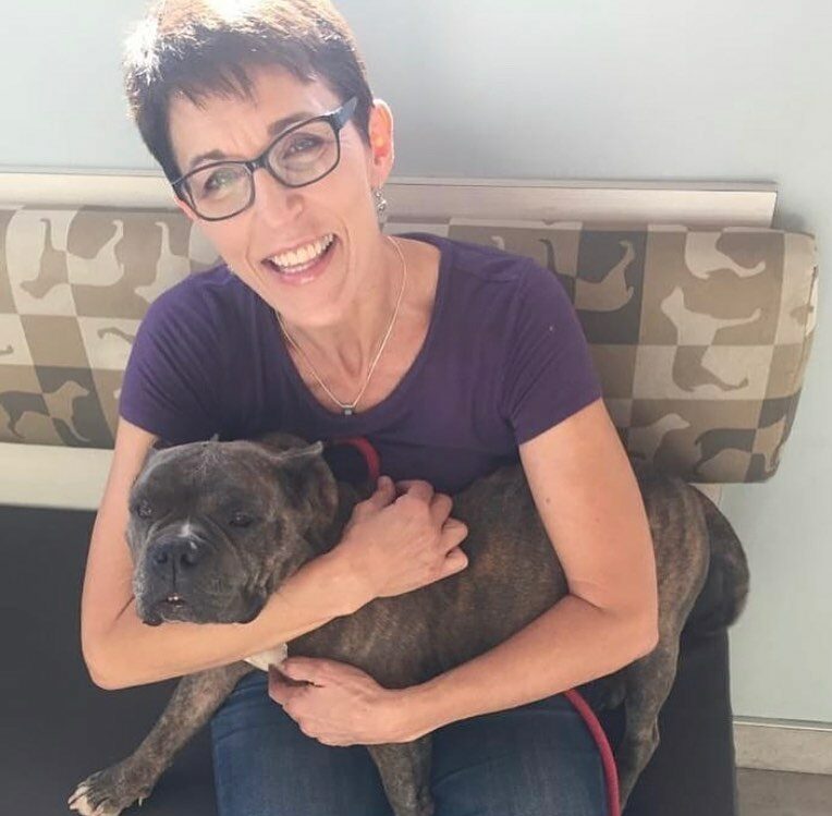 woman holding the dog in her lap