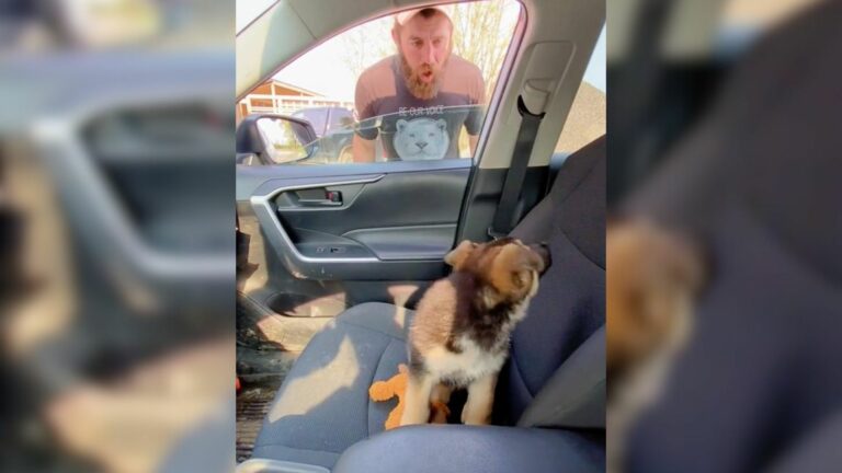 shocked man looking at the pup