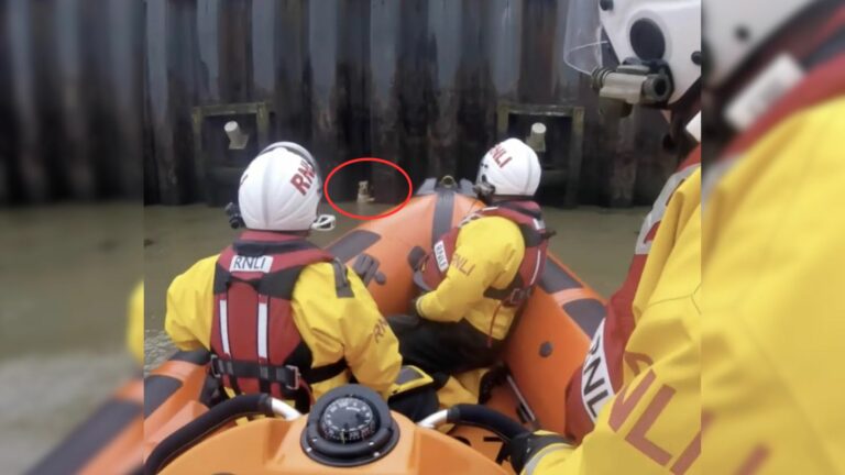 rescuers in a boat