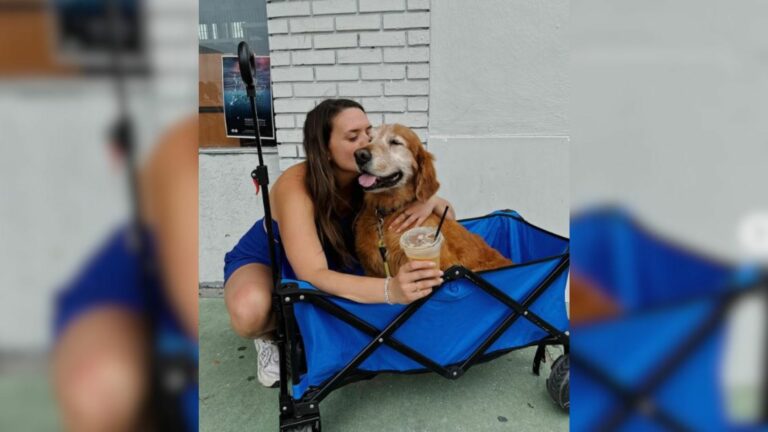 woman and Golden Retriever