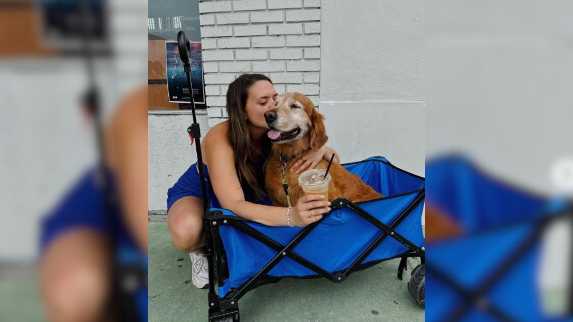 Woman Has Had Her Dog Since Age 15 And Still Includes Him In Every Moment