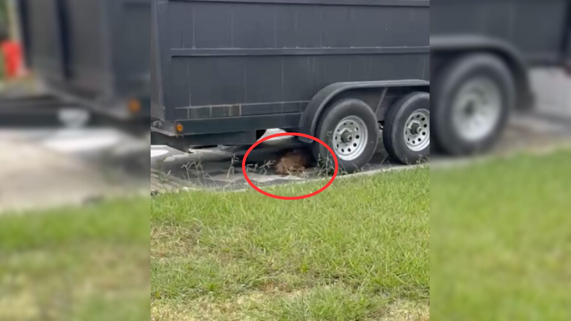 pile of fure under the truck
