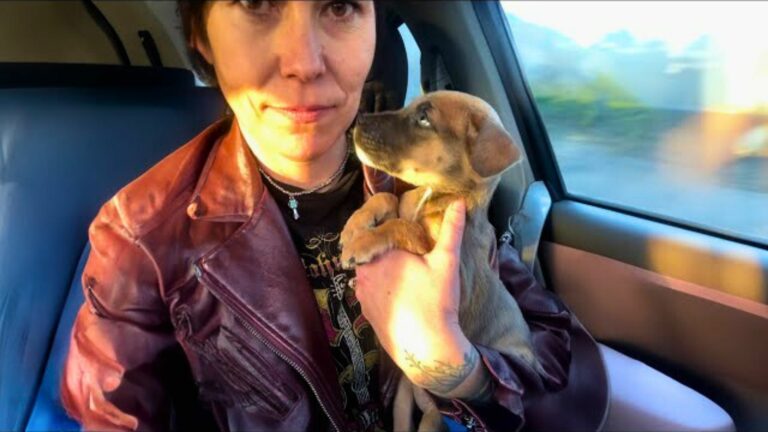woman saves puppy
