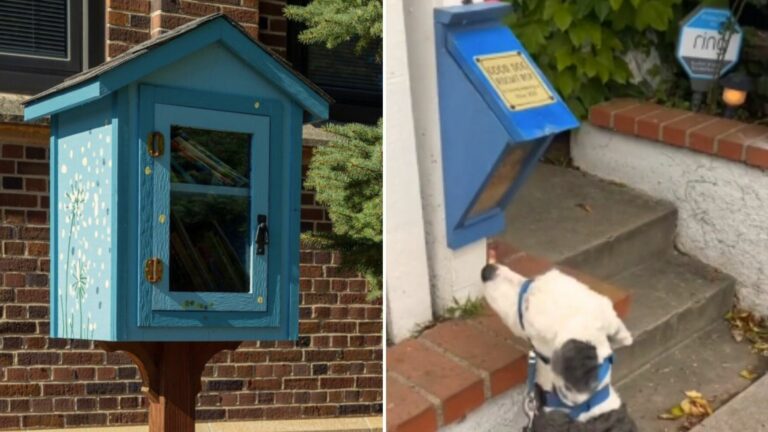woman crys after seeing special dog box