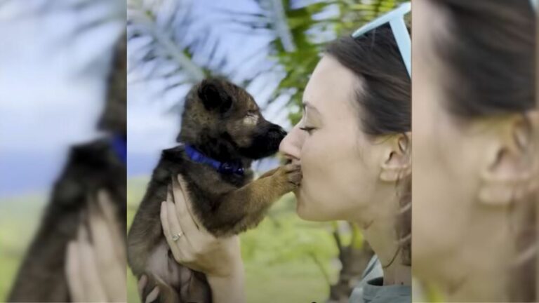 blind puppy and woman