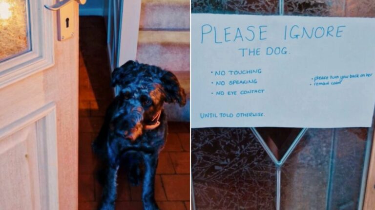 sign on the door