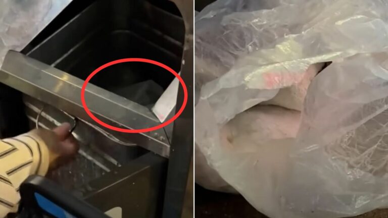 puppy in trash can
