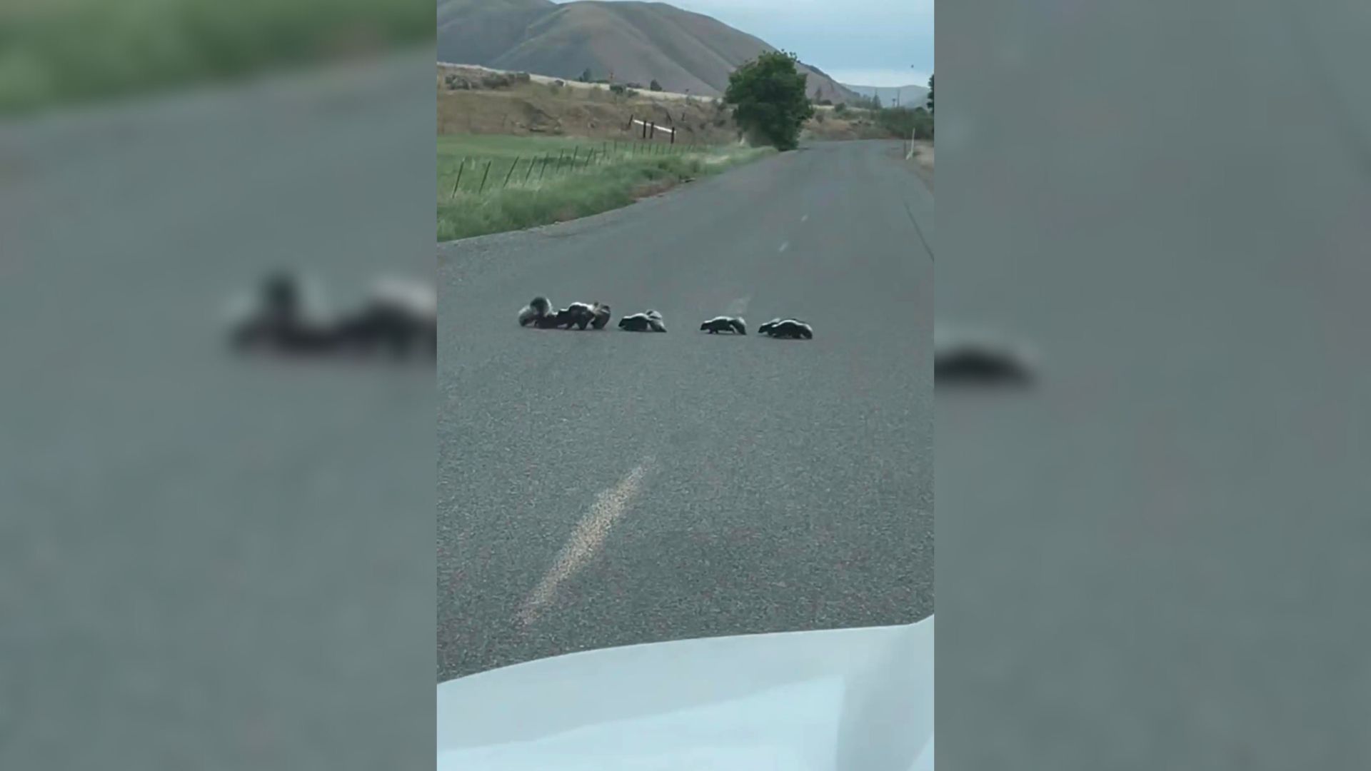 family on the road