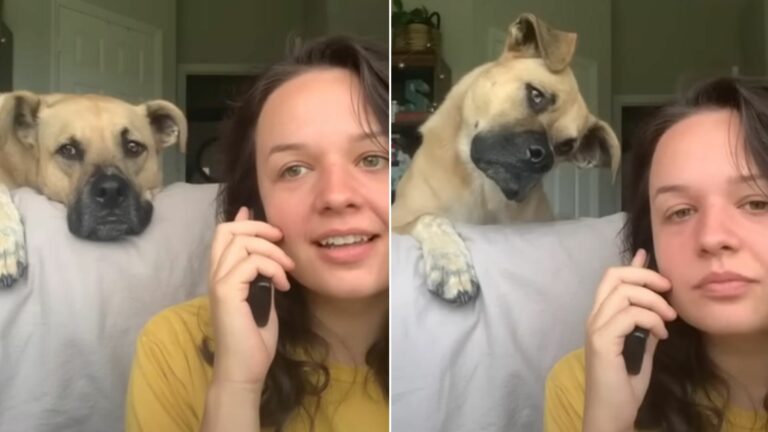 woman talking on phone and saying dogs words
