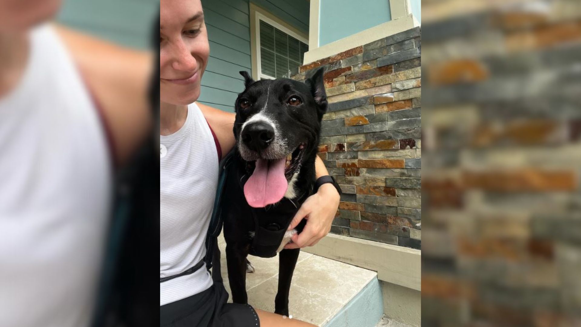 Dog Runs With His Mom At Run Club Every Day, Soon Captivates Everyone’s Hearts