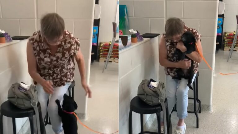 woman holding a dog
