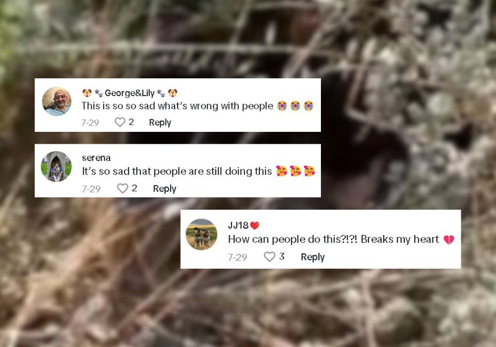 comments on social platform