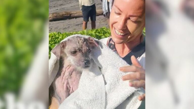 woman holding a pup
