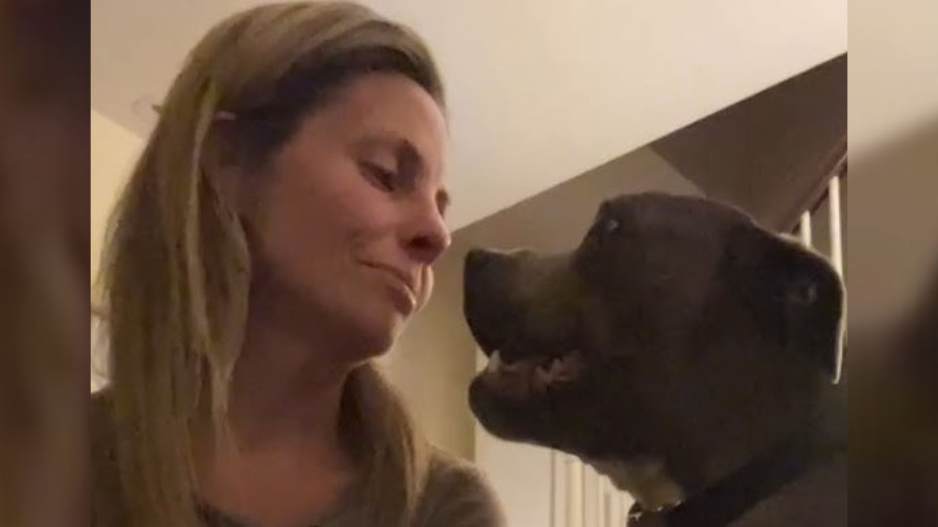 A Loving Pup Enters A Woman’s Life, Kisses Her Tears Away And Heals Her Broken Heart