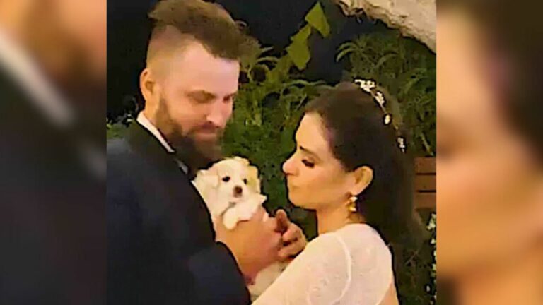 couple holding a puppy at the wedding