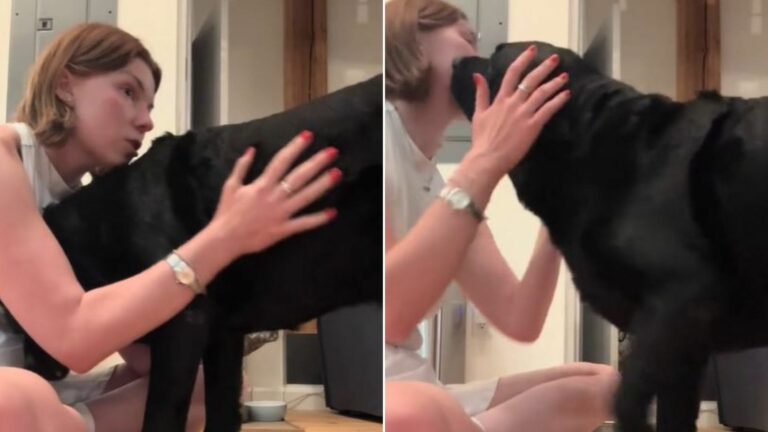 Dog Sitter Says Final Goodbye To Her All-Time Favorite Pup