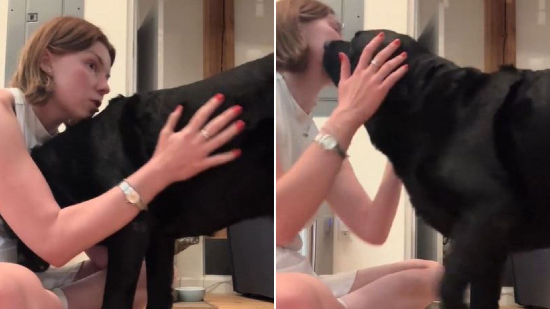 Dog Sitter Says Final Goodbye To Her All-Time Favorite Pup