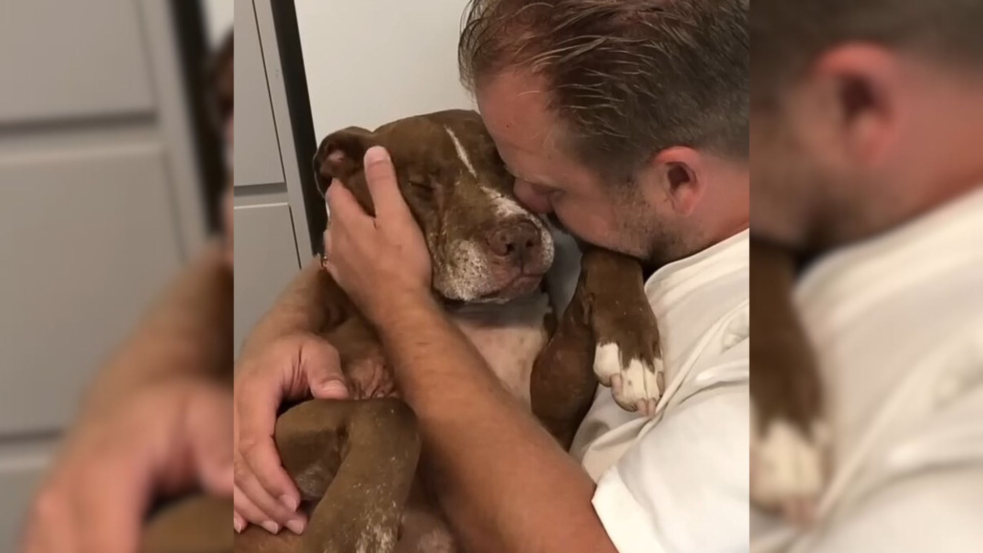 Lovely Senior Pup Who Was Abused And Left In An Abandoned House Found The Perfect Family