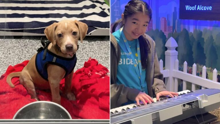 teen playing piano for animals