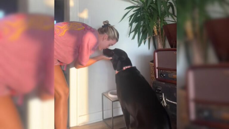 woman kissing a black dog