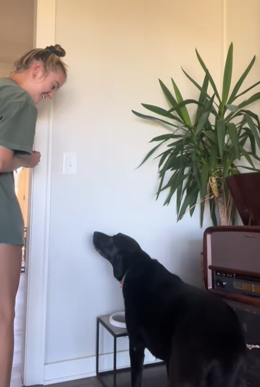 blonde woman and black dog