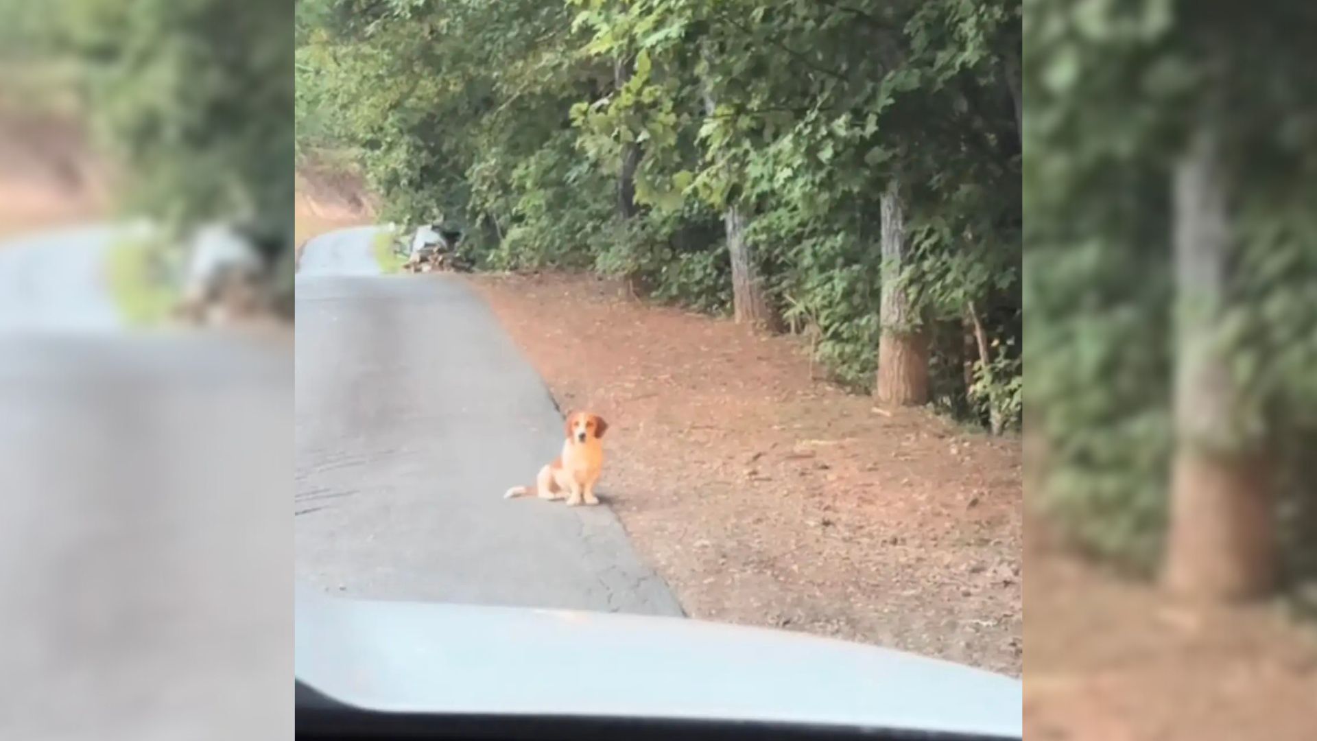 Couple Vacationing In North Carolina Makes A Shocking Discovery On A Mountain Road