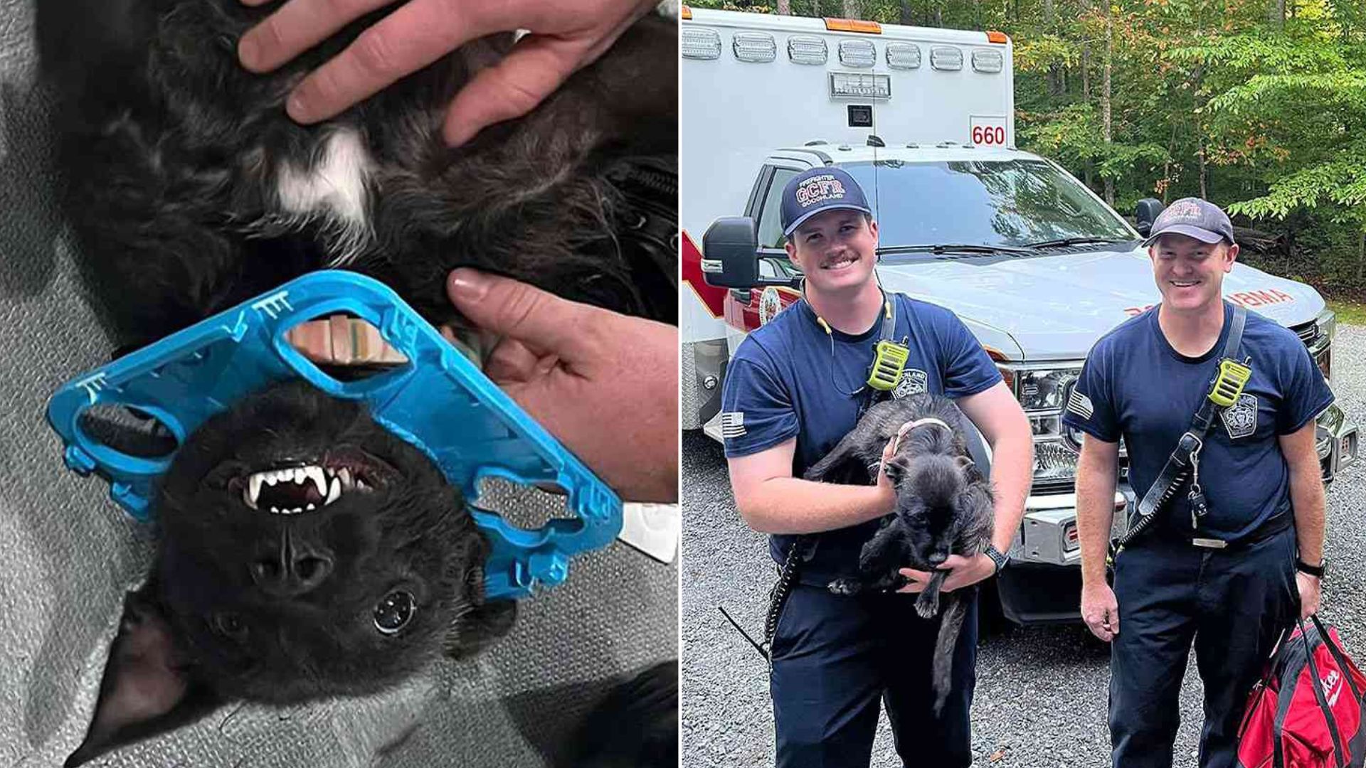 Firefighters From Virginia Perform Heroic Rescue Of Dog Stuck In Child’s Toy