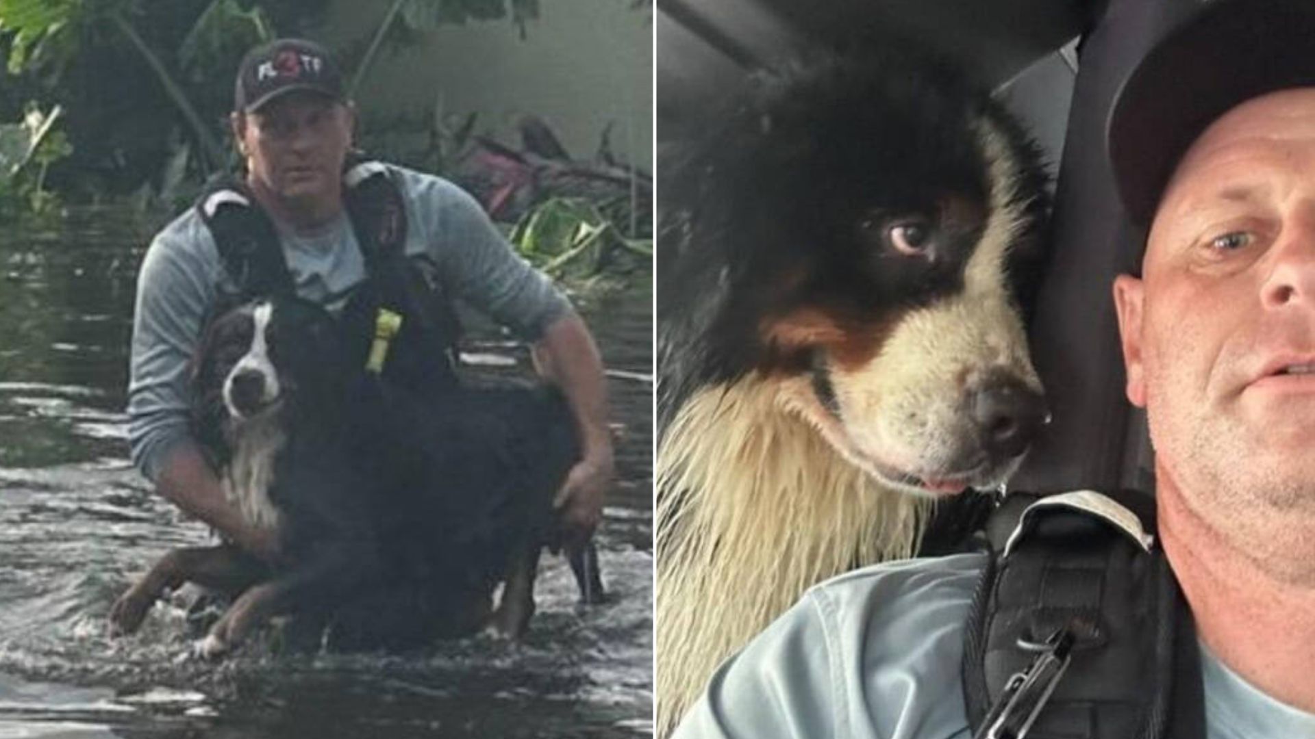 Dog Locked His Thankful Eyes On His Hero After Being Saved From The Floods In Florida