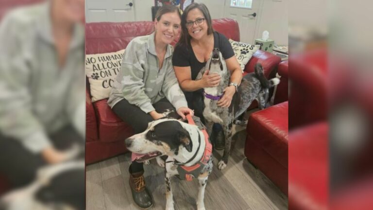 two women and dog