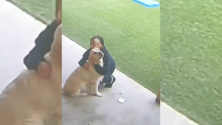 woman hugging a dog