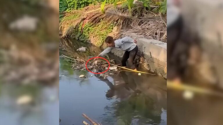 A Little Scared Puppy Trapped In A Ditch Kept Crying For His Mom And Begging Passersby To Help