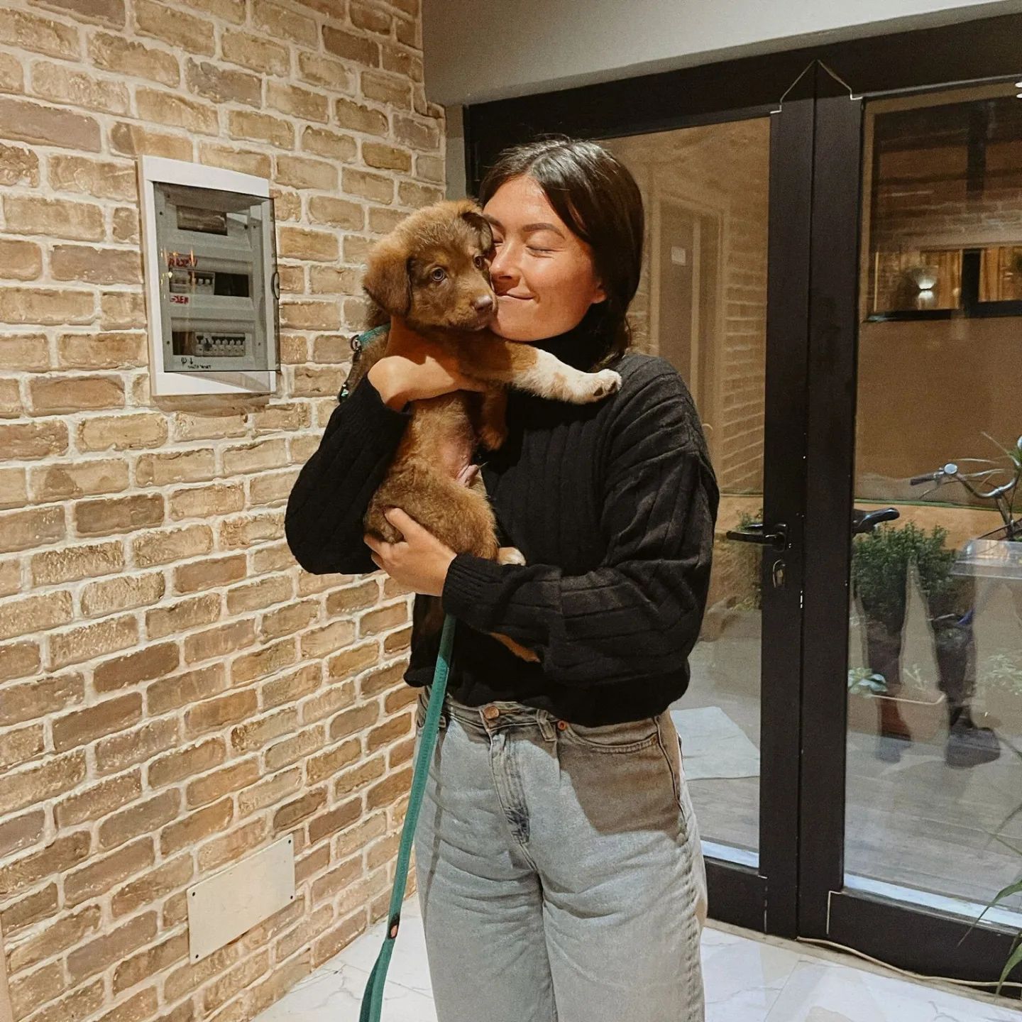 A girl is holding a brown puppy in her arms
