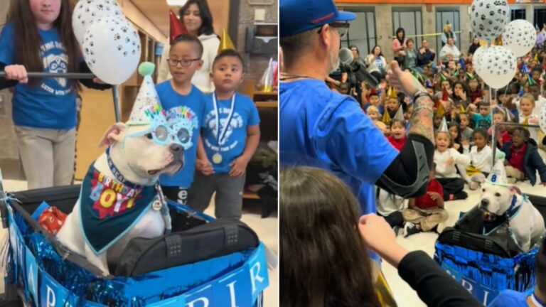 elementary schoold kids with deaf dog