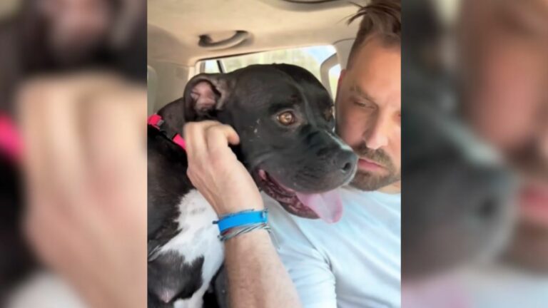 Man and black dog