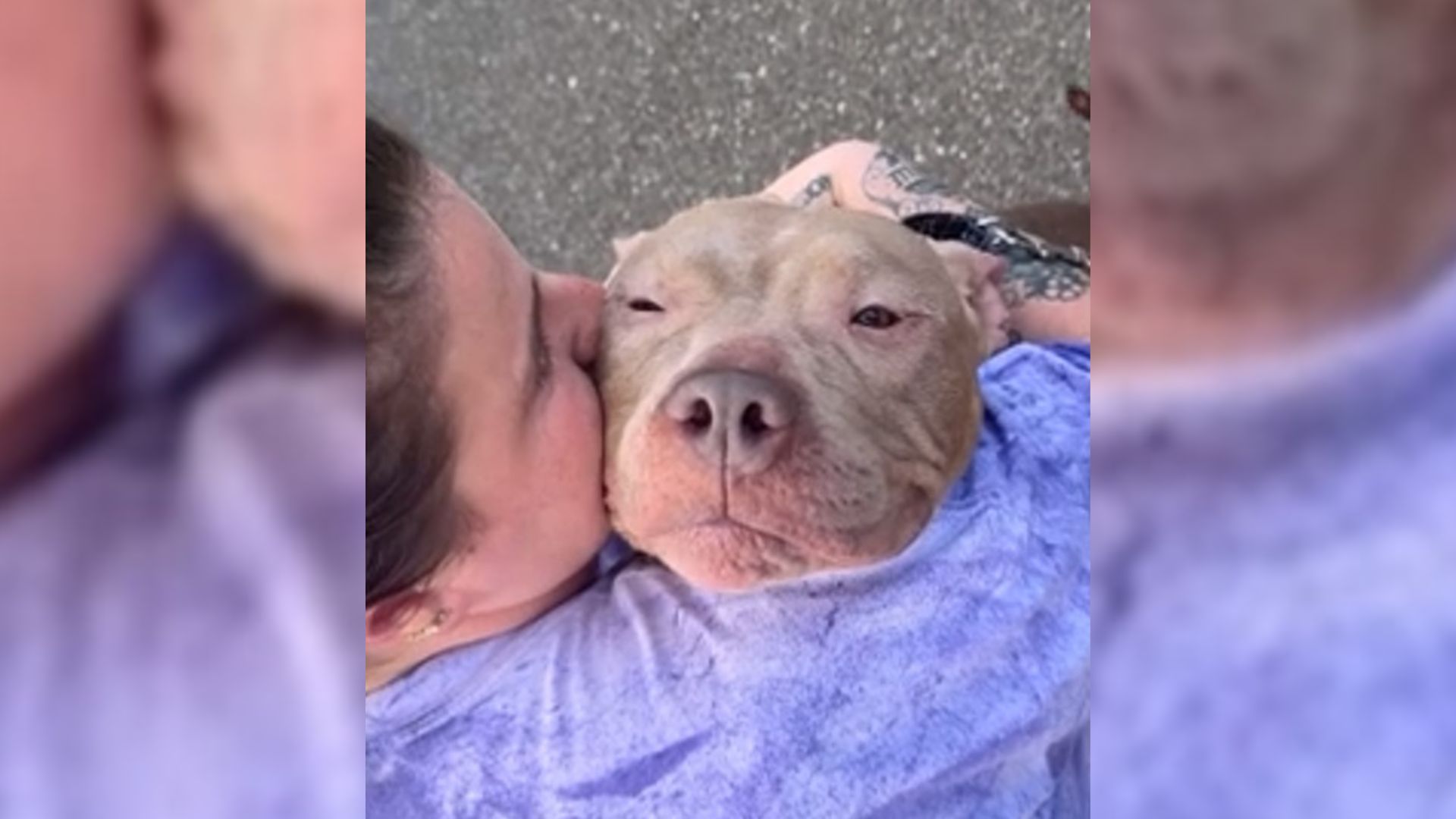 woman hugging shelter dog