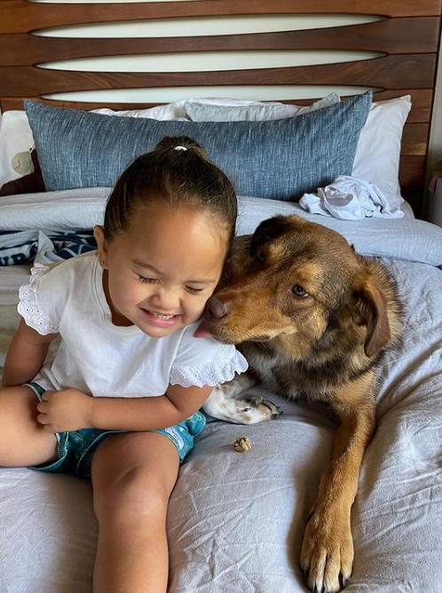 The dog licks the girl