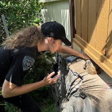 The policewoman helps to pull the cat out