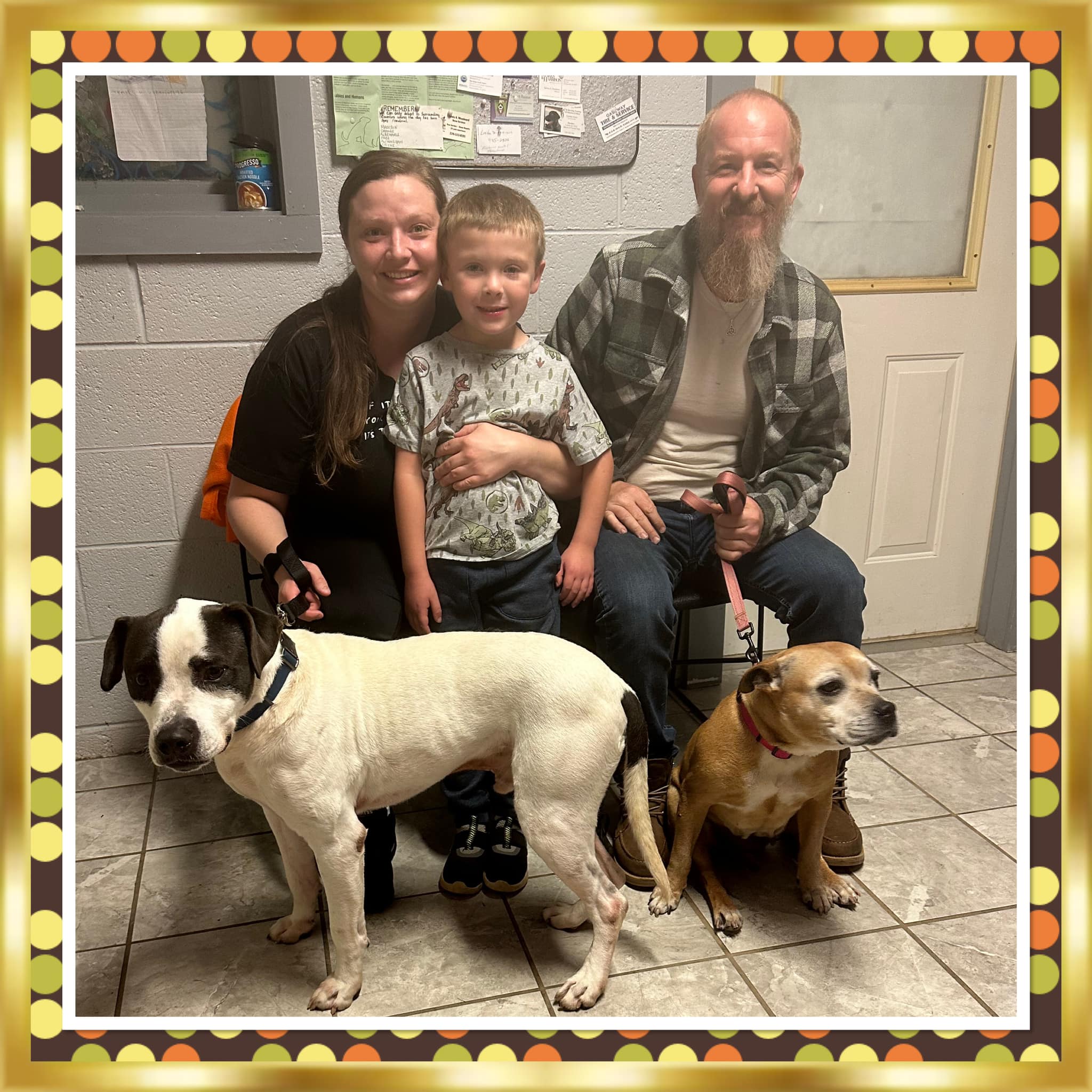 family with two dogs
