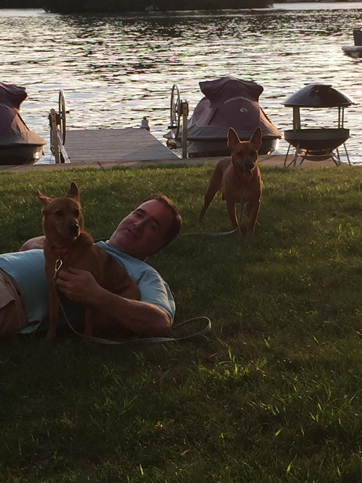 man lying on the grass with two dogs